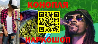 СК Гуково